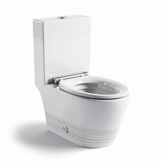 Wc suspendu en céramique blanche avec réservoir intégré 70 x 40 x 50cm